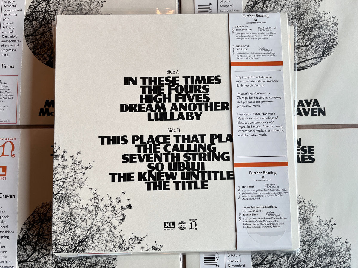 VINYL RECORD - In These Times by Makaya McCraven
