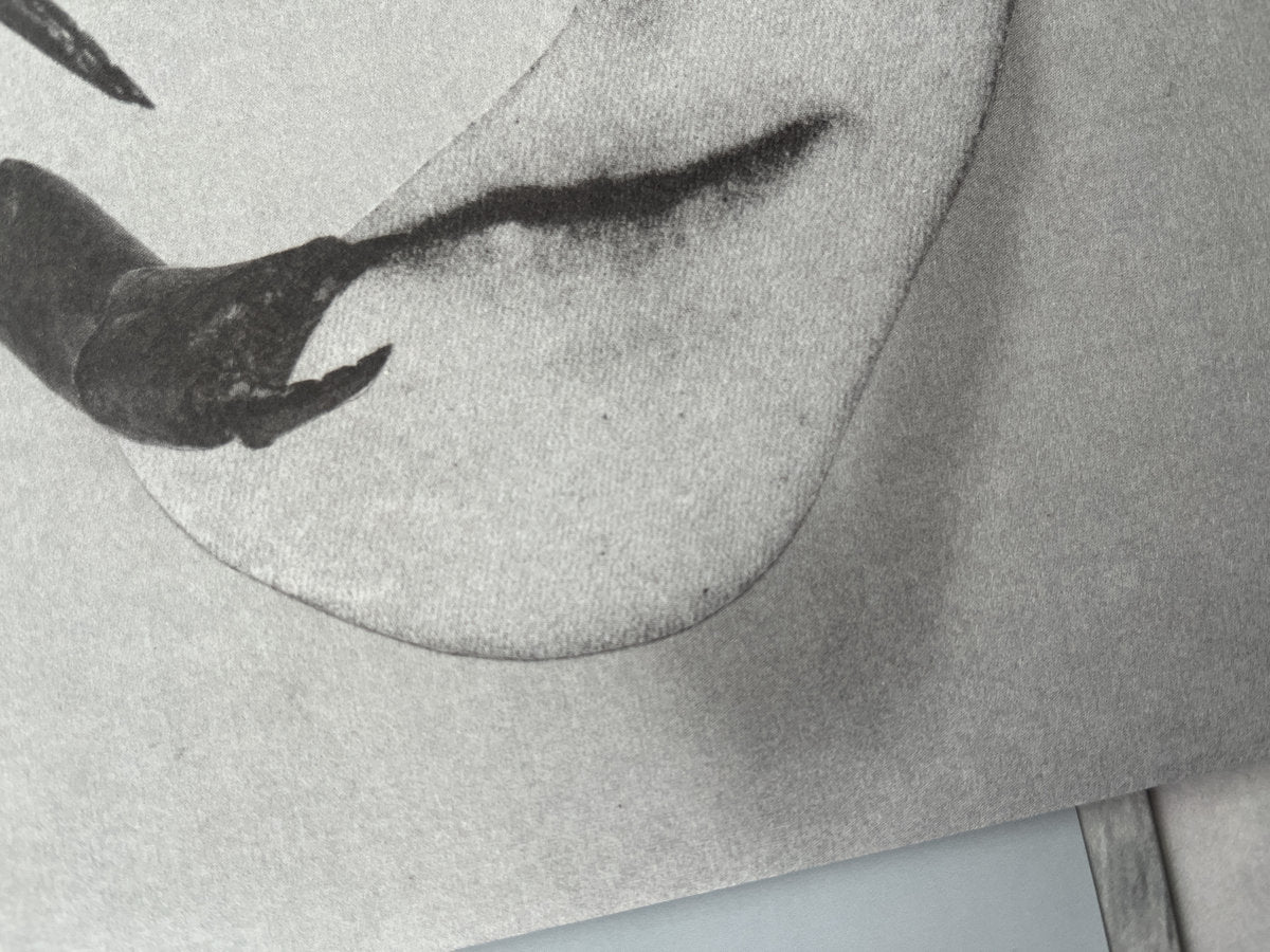 VINYL RECORD - Touch by Tortoise