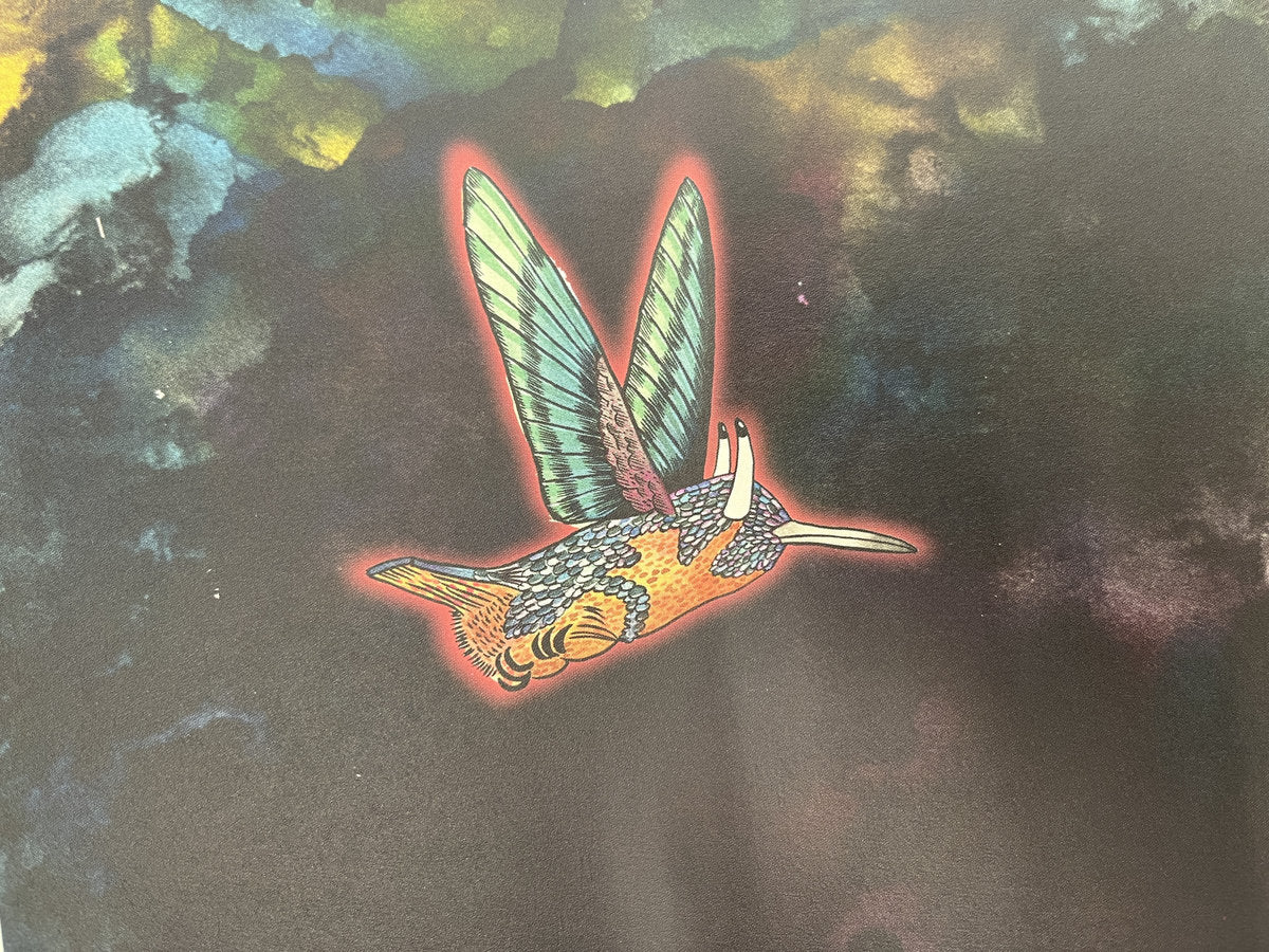 jaimie branch - FLY or DIE II: bird dogs of paradise (IA11 edition)