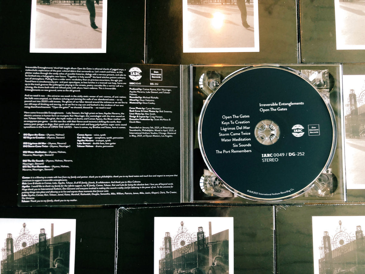 Irreversible Entanglements - Open The Gates