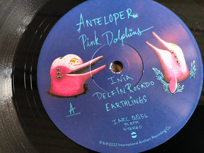Anteloper - Pink Dolphins