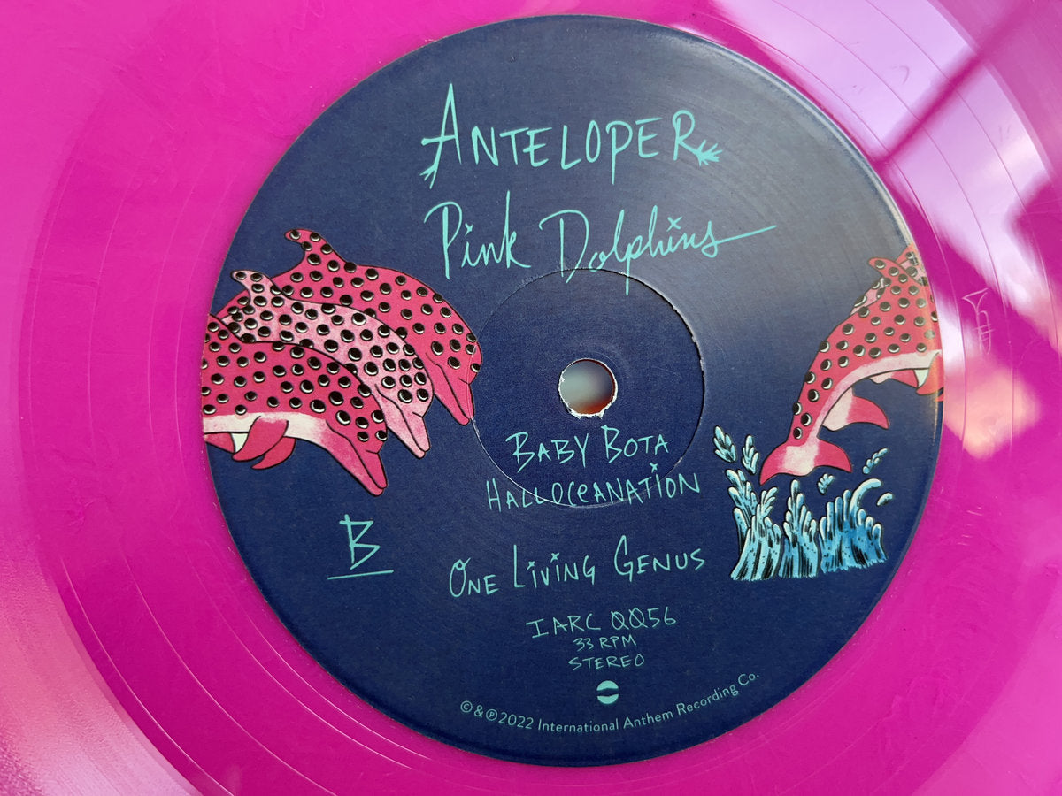 Anteloper - Pink Dolphins