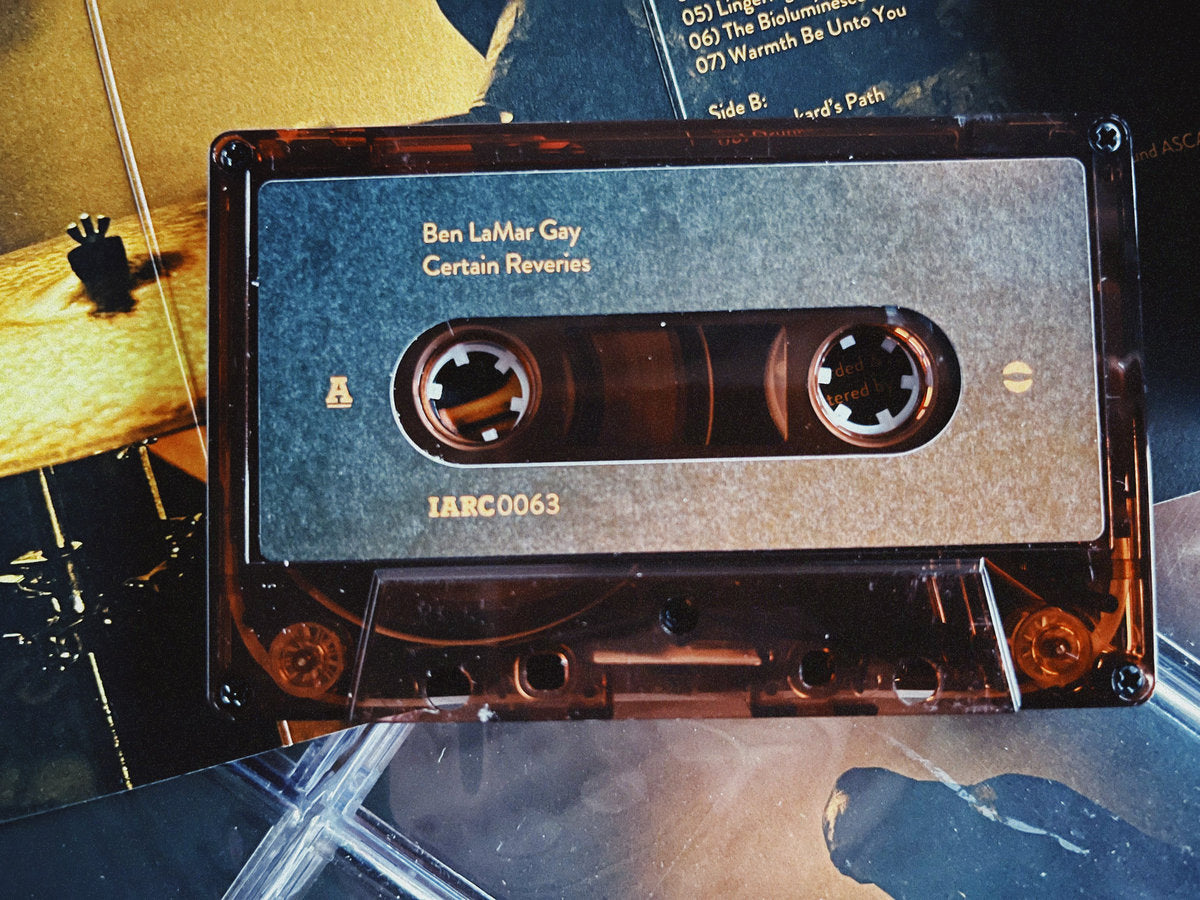 Ben LaMar Gay - Certain Reveries