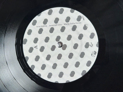VINYL RECORD - The Closest Thing to Silence by Ariel Kalma, Jeremiah Chiu & Marta Sofia Honer