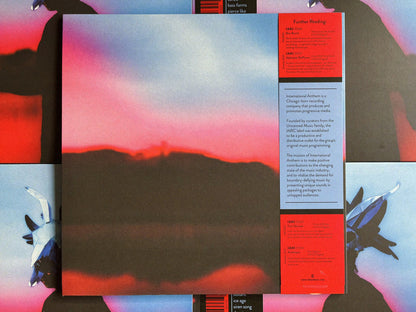 Ruth Goller - SKYLLUMINA