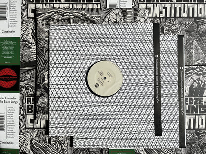 Asher Gamedze & The Black Lungs - Constitution