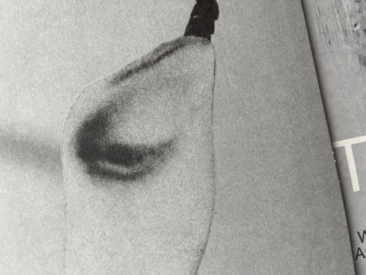 VINYL RECORD - Touch by Tortoise