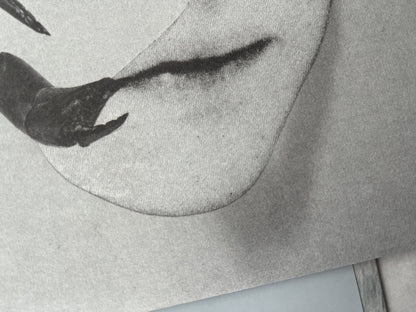 VINYL RECORD - Touch by Tortoise