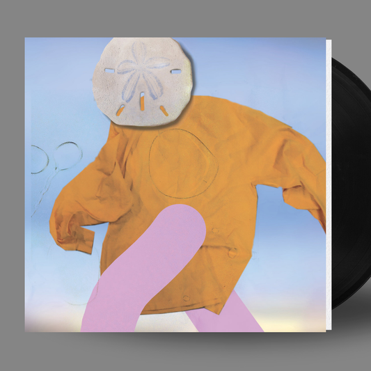 VINYL RECORD - How You Been by SML