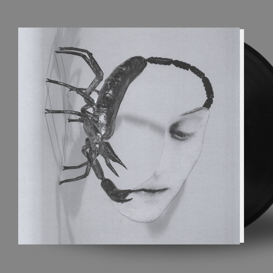 VINYL RECORD - Touch by Tortoise