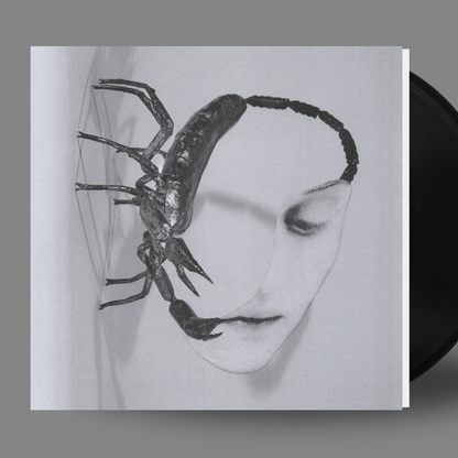 VINYL RECORD - Touch by Tortoise