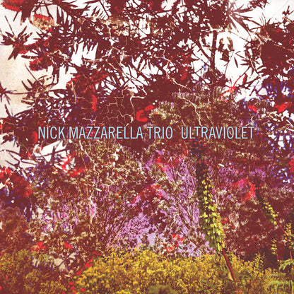 Nick Mazzarella Trio - Ultraviolet