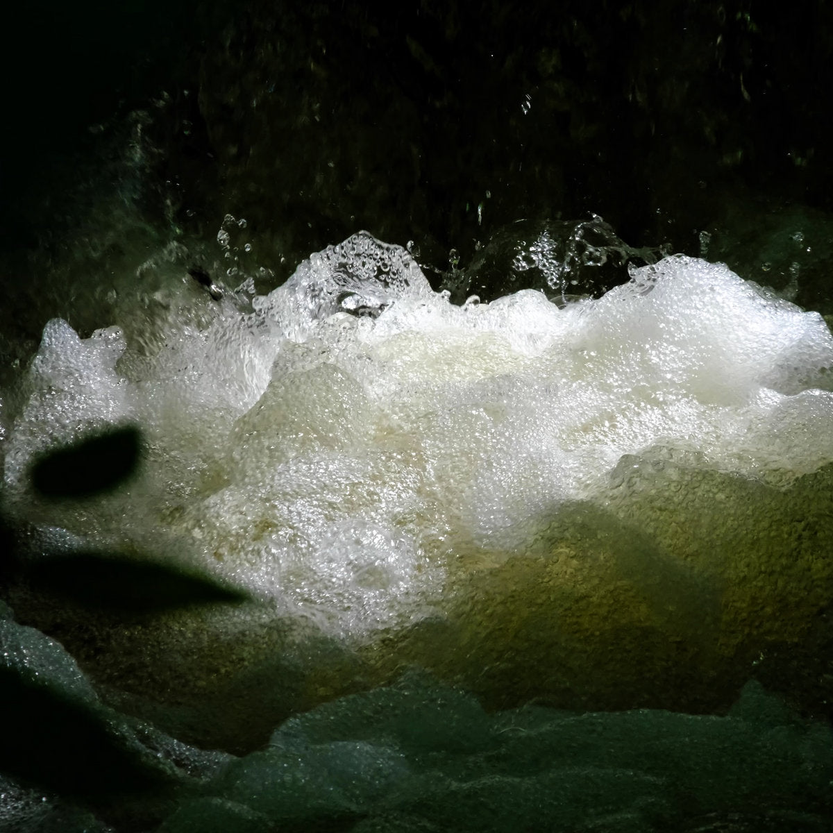 Photay with Carlos Niño - More Offerings